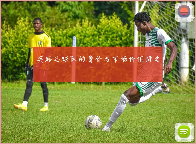 英超各球队的身价与市场价值排名