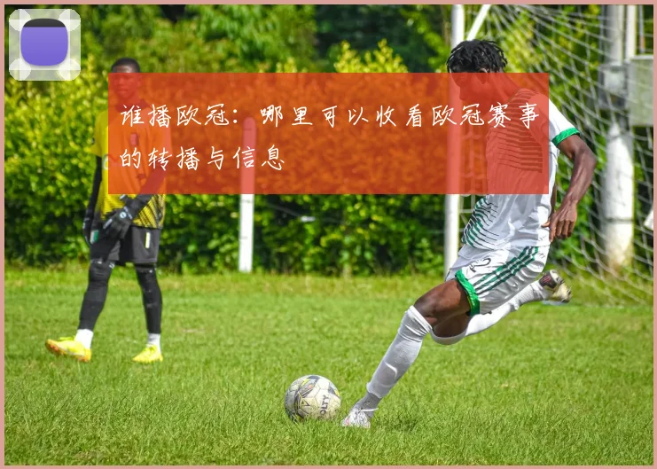 谁播欧冠：哪里可以收看欧冠赛事的转播与信息