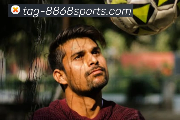 8868体育平台生态图