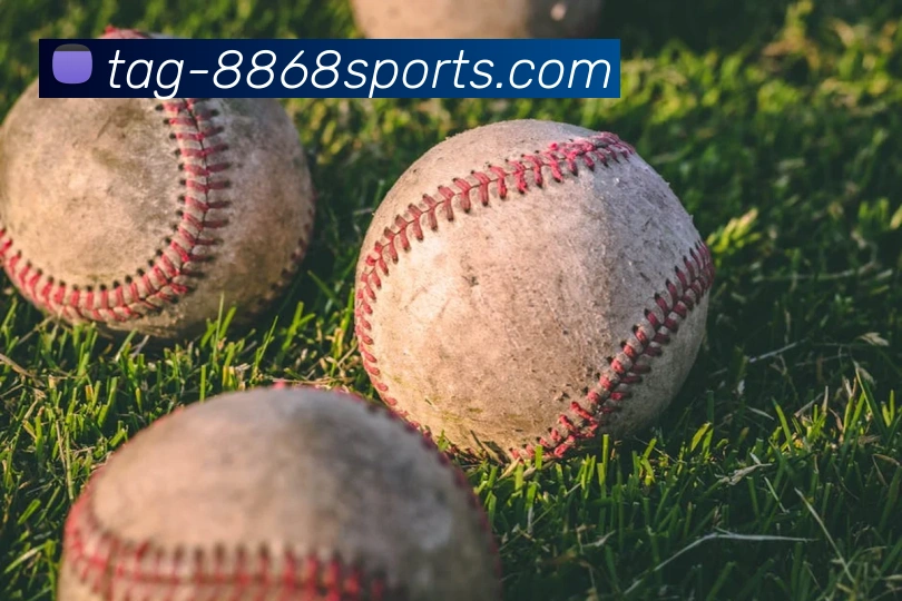 8868体育全站App 8868体育全站App